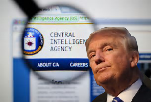 DNC & CIA Will Kill Donald Trump